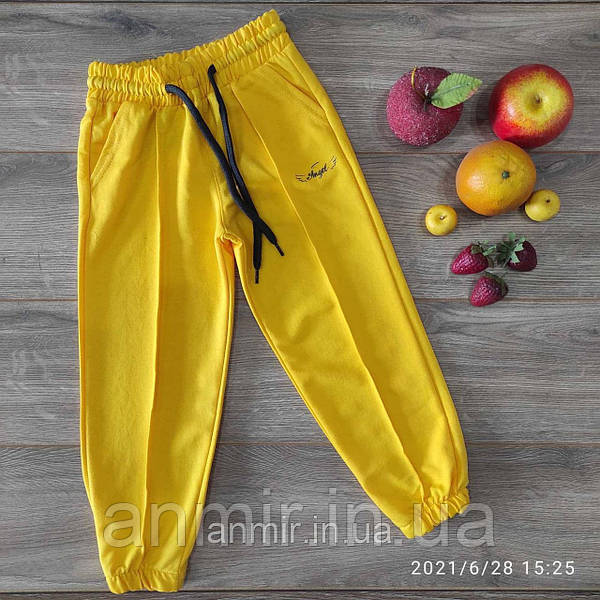 Спортивные штаны Nike B NSW CLUB FLC JOGGER PANT CI2911-010 