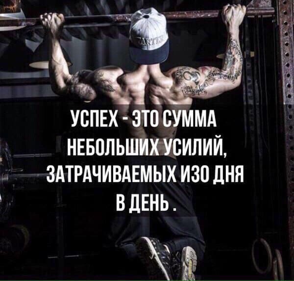 Спорт