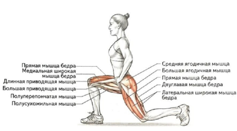 Упражнения для спины с резинкой в домашних условиях для 