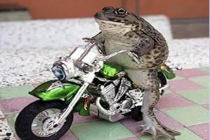 Crazy Frog выпустил новый клип — впервые за десять лет — Bird 