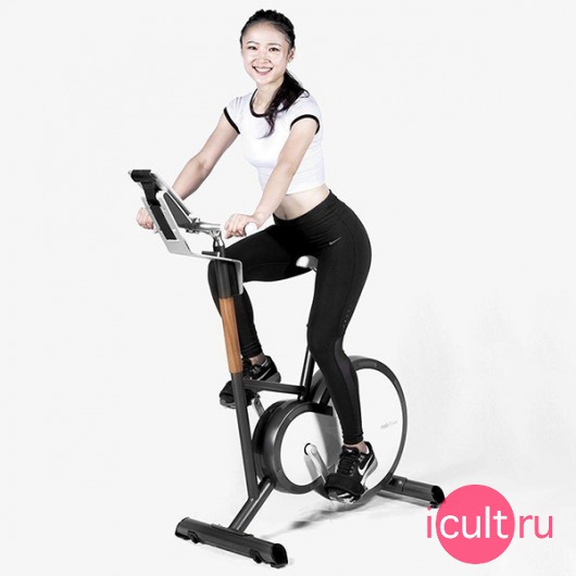 MOBI FITNESS mobifitness Regulus Elliptical Machine