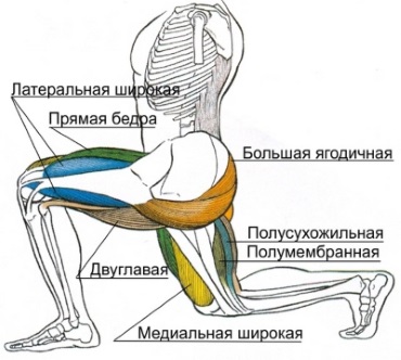 Выпады с гантелями