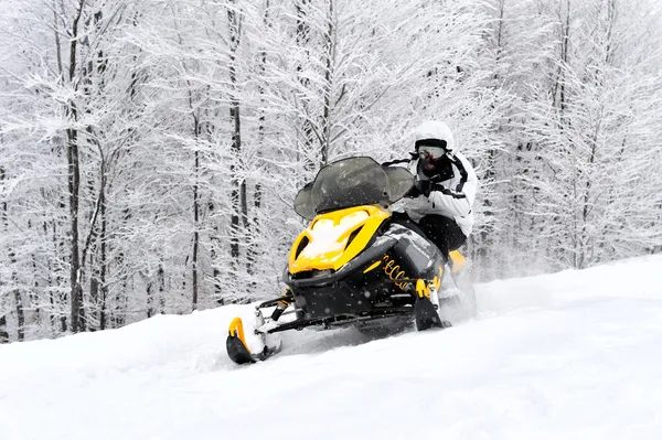 Мотоцикл на гусенице для зимы! Snowbike прокат