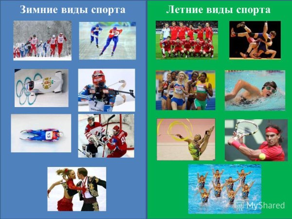 Картинки с видами спорта