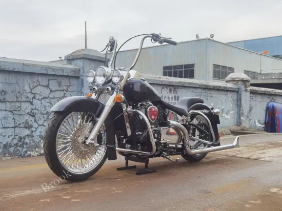 26 HD Heritage Softail Chicano