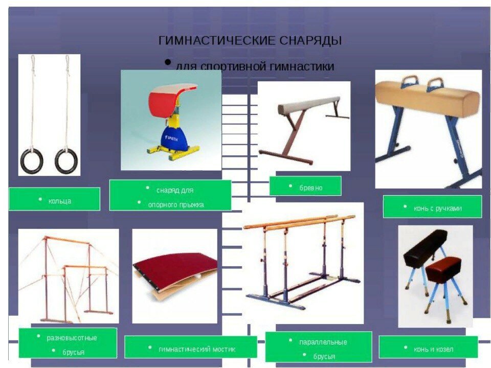 Что относится к гимнастическим снарядам 
