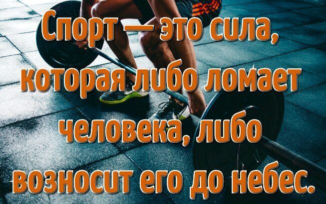 Спорт и бездействие