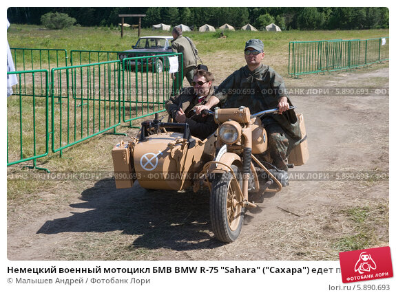 Модели сборные Звезда в Арт Склад 