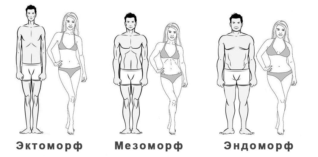 3 основных типа мужского телосложения в спорте 