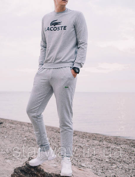 Мужской спортивный костюм Lacoste #WH7567 291-зеленый 