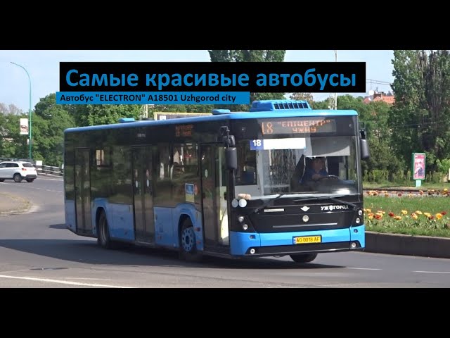 10 самых красивых и необычных автобусов прошлого 