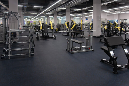 Fitness House, фитнес-клуб, Гудок, Красноармейская улица, 131 