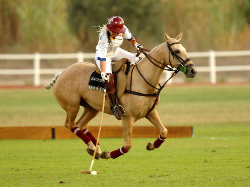 24,000+ Polo Sport Stock Photos, Pictures & Royalty-Free 