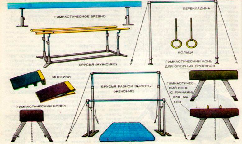 🌟 Оборудование гимнастический инвентарь