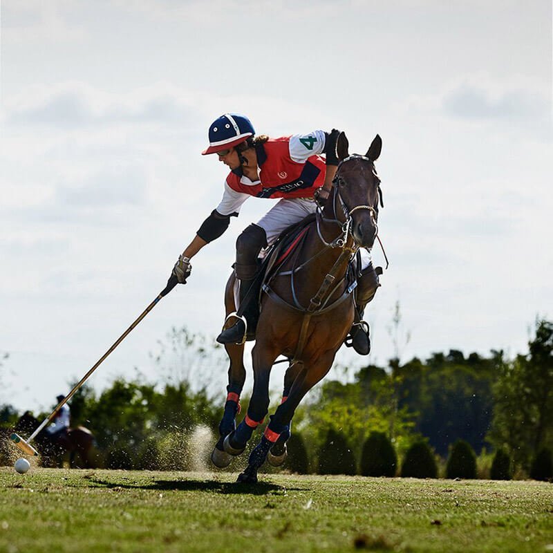 Polo Sport Recife Shadow